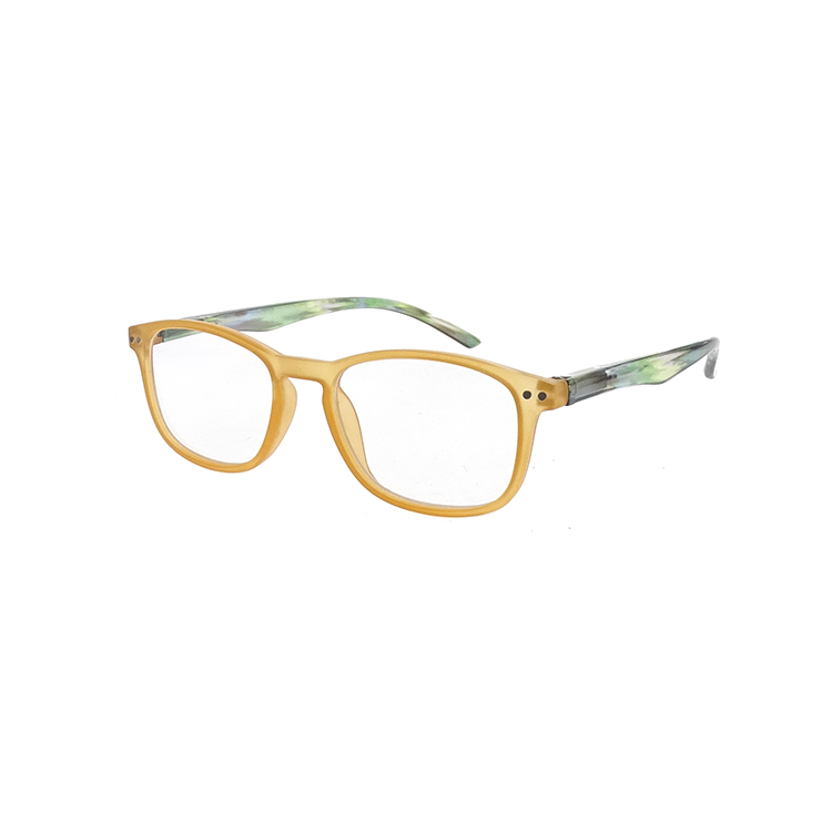 Wholesale translucent color frame eye glasses frames LR-P5855