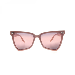 UV Plastic Fashionable Sunglasses With Logo Bulk Trendy LS-P1355